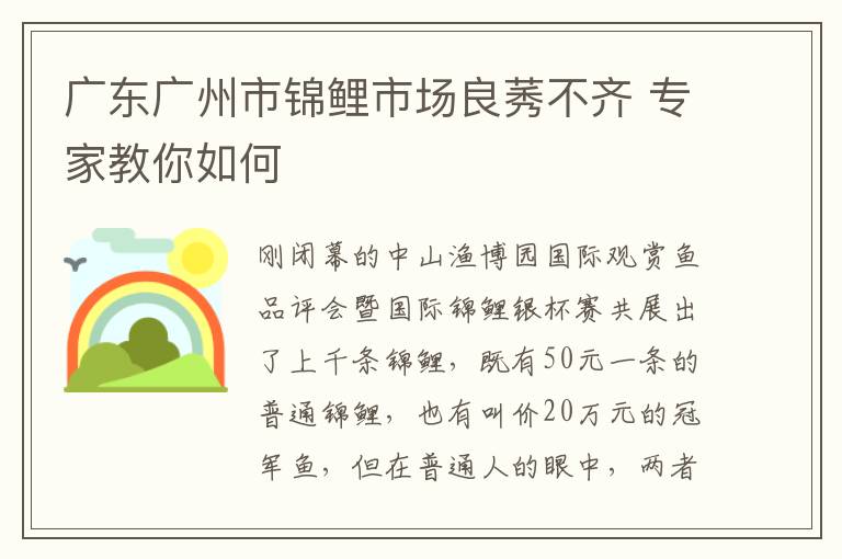 廣東廣州市錦鯉市場良莠不齊 專家教你如何