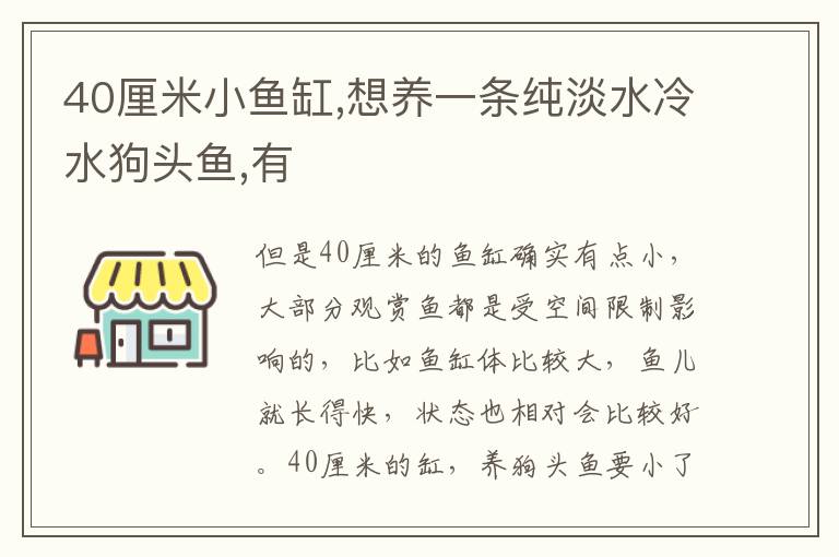 40厘米小鱼缸,想养一条纯淡水冷水狗头鱼,有