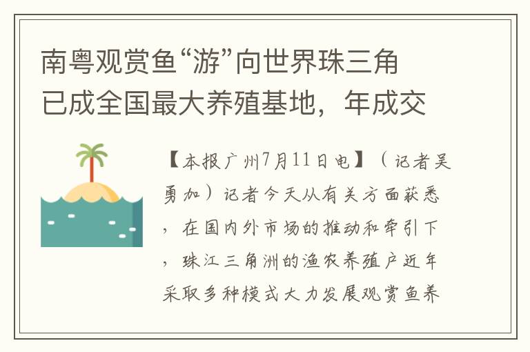 南粤观赏鱼“游”向世界珠三角已成全国最大养殖基地，年成交额超10亿