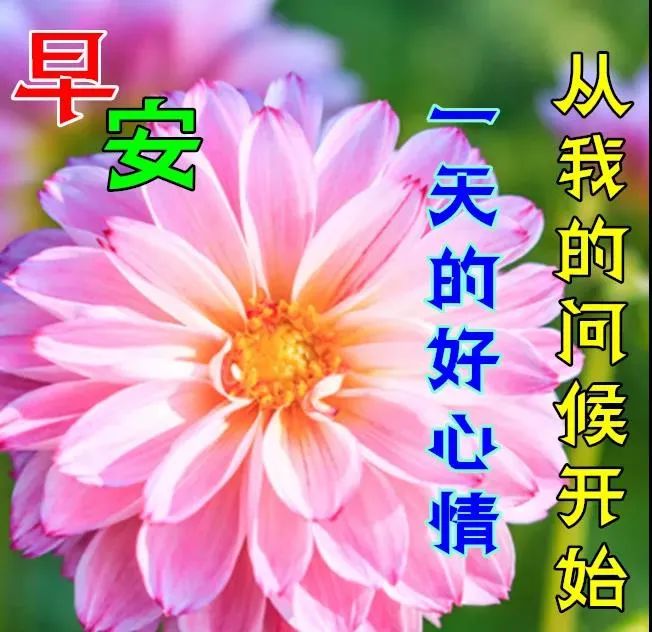 早安祝福圖片帶字帶早上好問候語，周一愉快