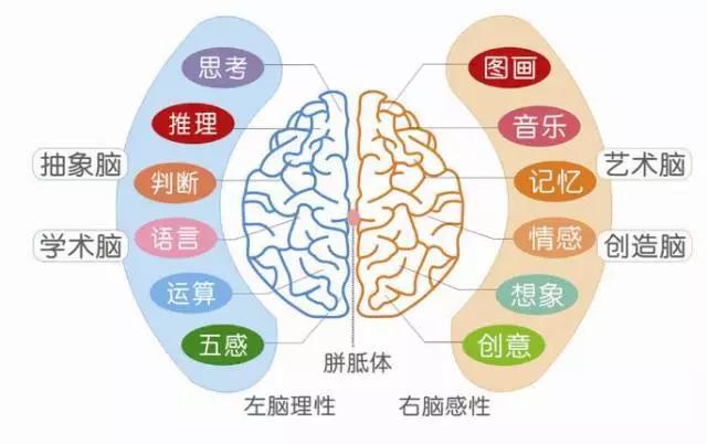 别害羞！大声朗读英文的作用超过你想象