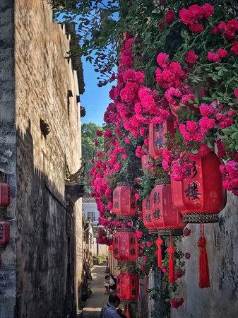 黄山及周边旅游攻略_黄山周边景点_黄山周边游攻略自由行