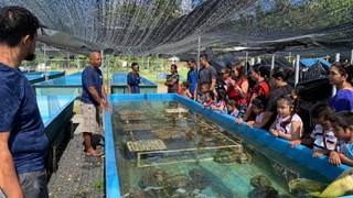 海水觀賞魚批發(fā)市場_海水觀賞魚市場前景_海水觀賞魚交易平臺