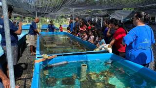 海水观赏鱼批发市场_海水观赏鱼市场前景_海水观赏鱼交易平台