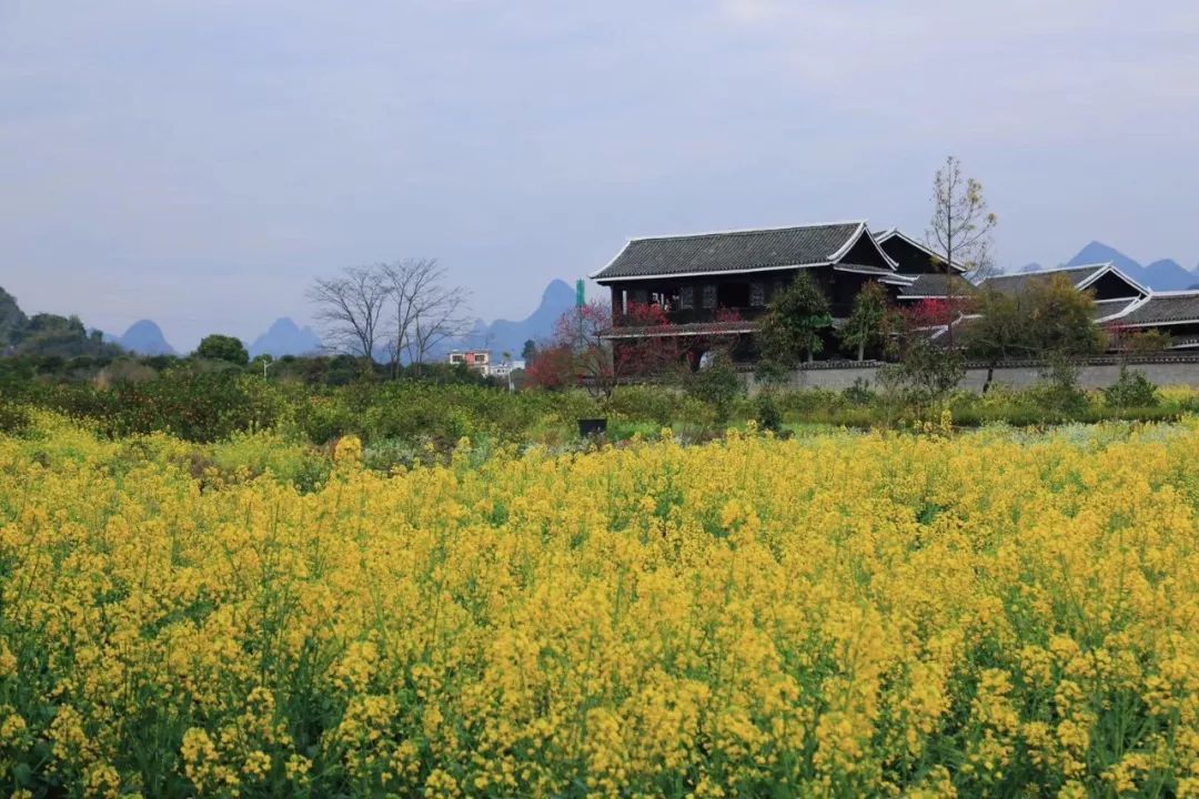 桂林到北海旅游攻略_广西桂林北海旅游线路_去桂林北海旅游攻略