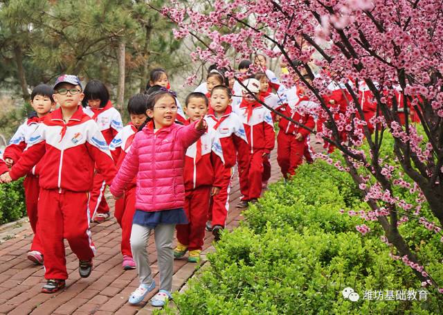 小学生制定旅游方案怎么写_小学生旅游策划书_策划旅游书小学生怎么写