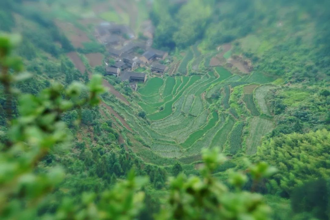 仙居公盂巖旅游攻略_仙居公盂一日游_仙居公盂巖圖片