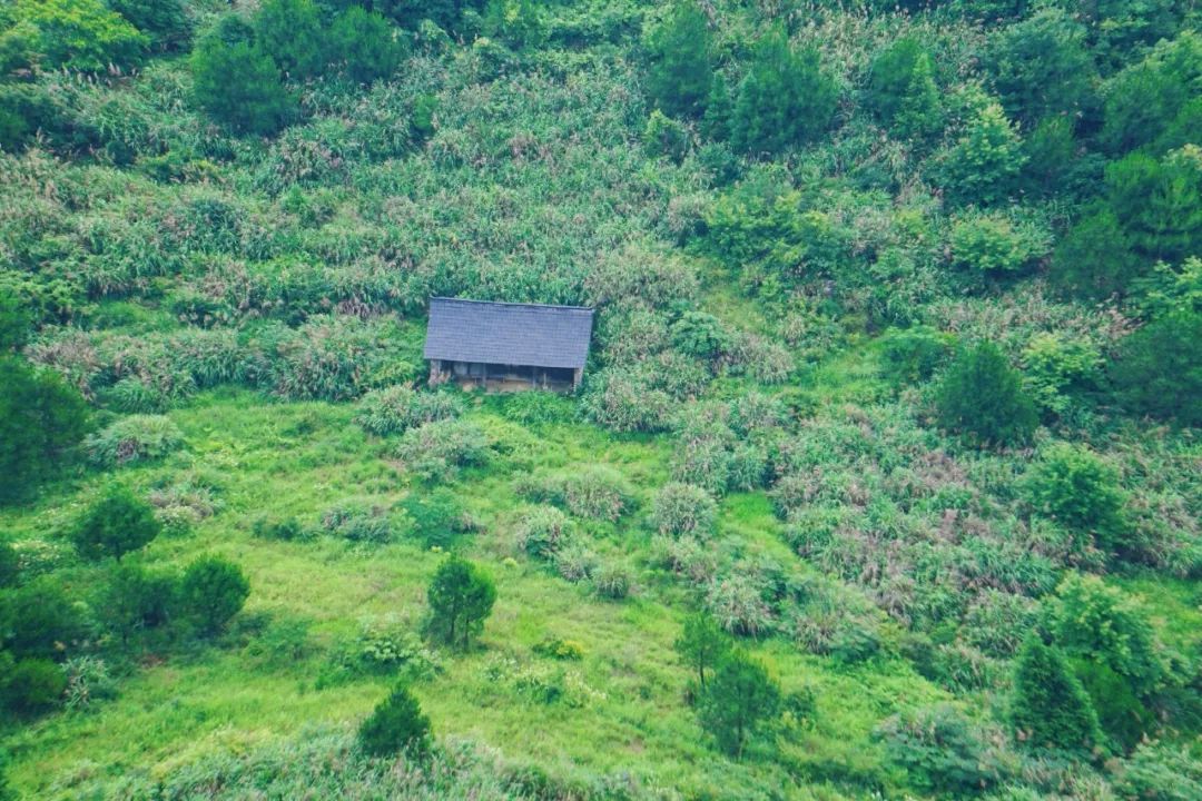 仙居公盂一日游_仙居公盂岩旅游攻略_仙居公盂岩图片