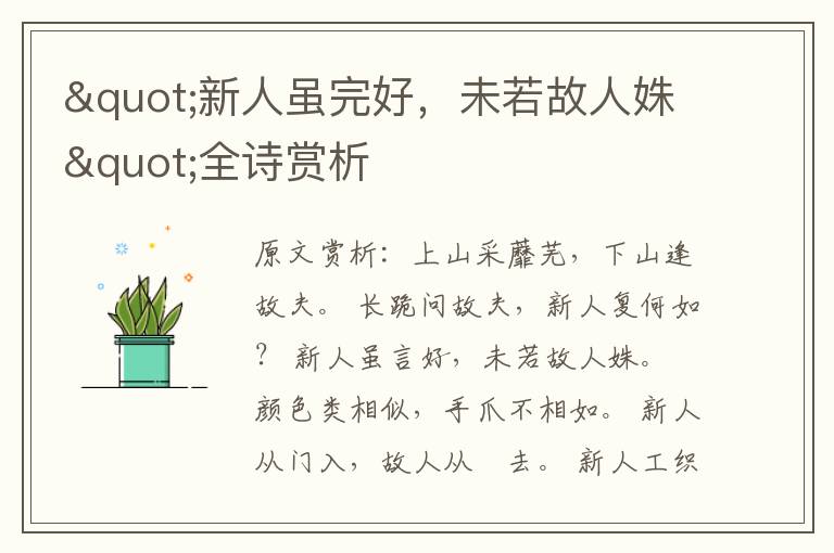 "新人雖完好，未若故人姝"全詩賞析