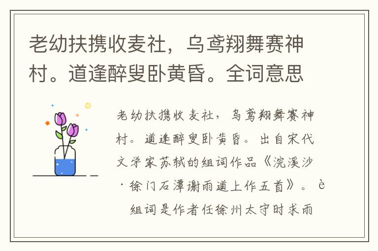 老幼扶携收麦社，乌鸢翔舞赛神村。道逢醉叟卧黄昏。全词意思及赏析