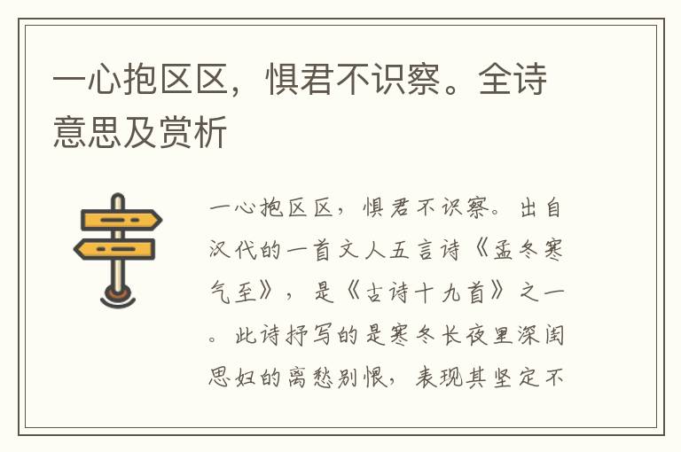 一心抱区区，惧君不识察。全诗意思及赏析