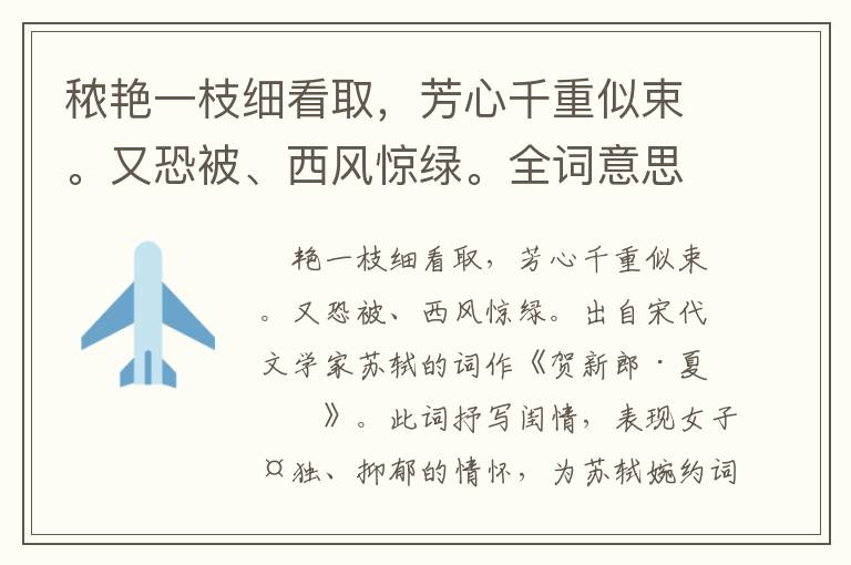 秾艳一枝细看取，芳心千重似束。又恐被、西风惊绿。全词意思及赏析