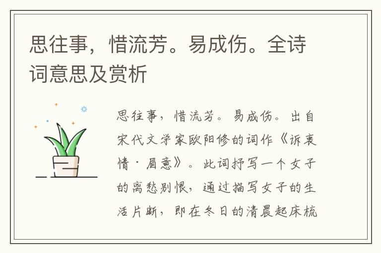 思往事，惜流芳。易成傷。全詩詞意思及賞析