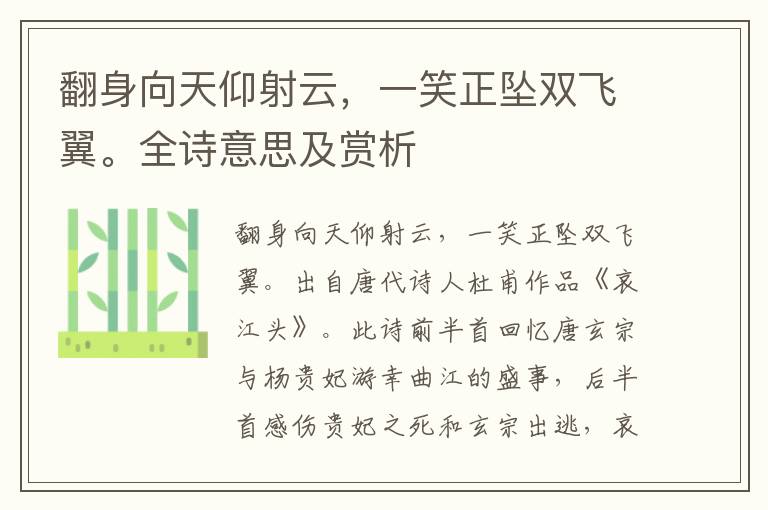 翻身向天仰射云，一笑正坠双飞翼。全诗意思及赏析