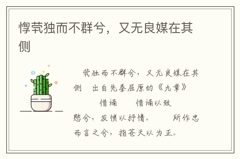 惸茕独而不群兮，又无良媒在其侧