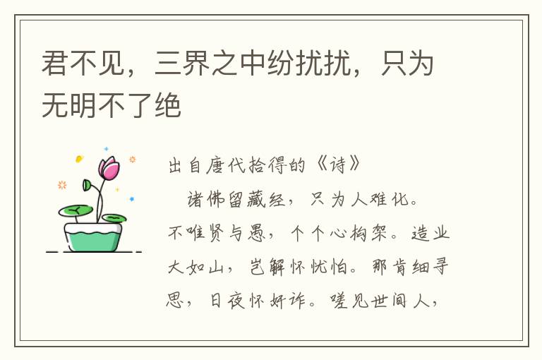 君不见，三界之中纷扰扰，只为无明不了绝