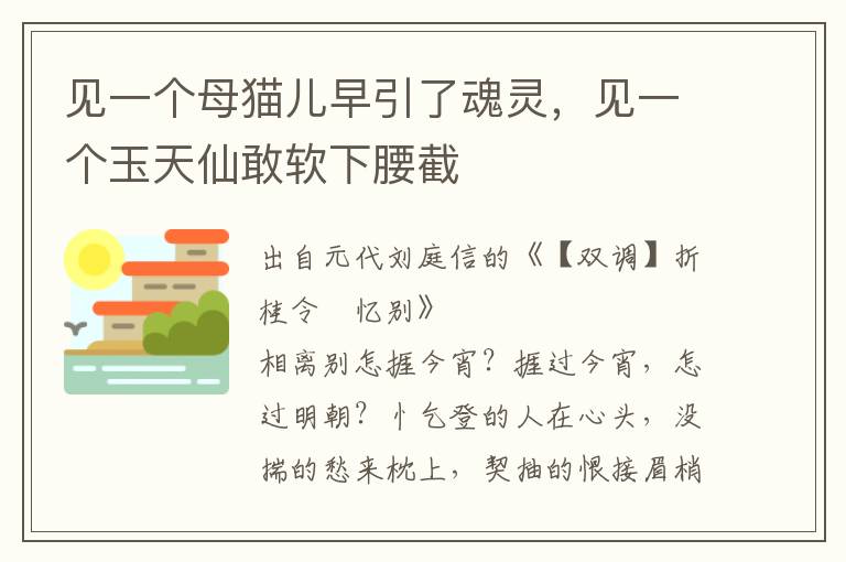 见一个母猫儿早引了魂灵，见一个玉天仙敢软下腰截