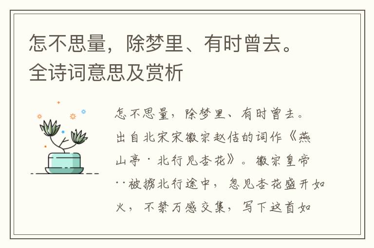 怎不思量，除梦里、有时曾去。全诗词意思及赏析