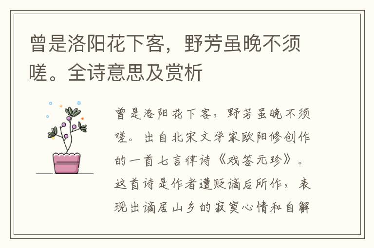 曾是洛阳花下客，野芳虽晚不须嗟。全诗意思及赏析