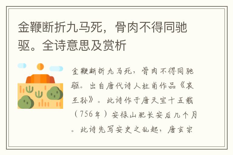 金鞭断折九马死，骨肉不得同驰驱。全诗意思及赏析